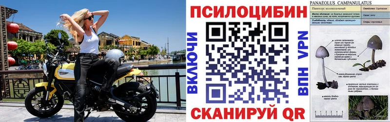 Галлюциногенные грибы GOLDEN TEACHER  Дюртюли 